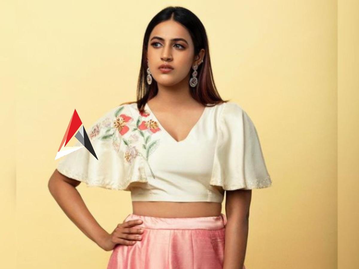 Bigg Boss 5 Telugu : కంటెస్టెంట్లకు ఓట్లు వేసిన నిహారిక