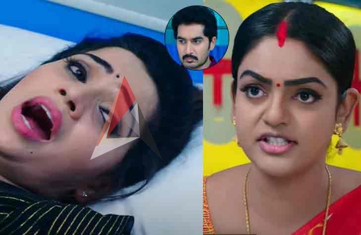 Karthika Deepam: మొత్తానికి అనుకున్నట్టే షాక్ ఇచ్చింది.. మోనిత కొత్త నాటకం