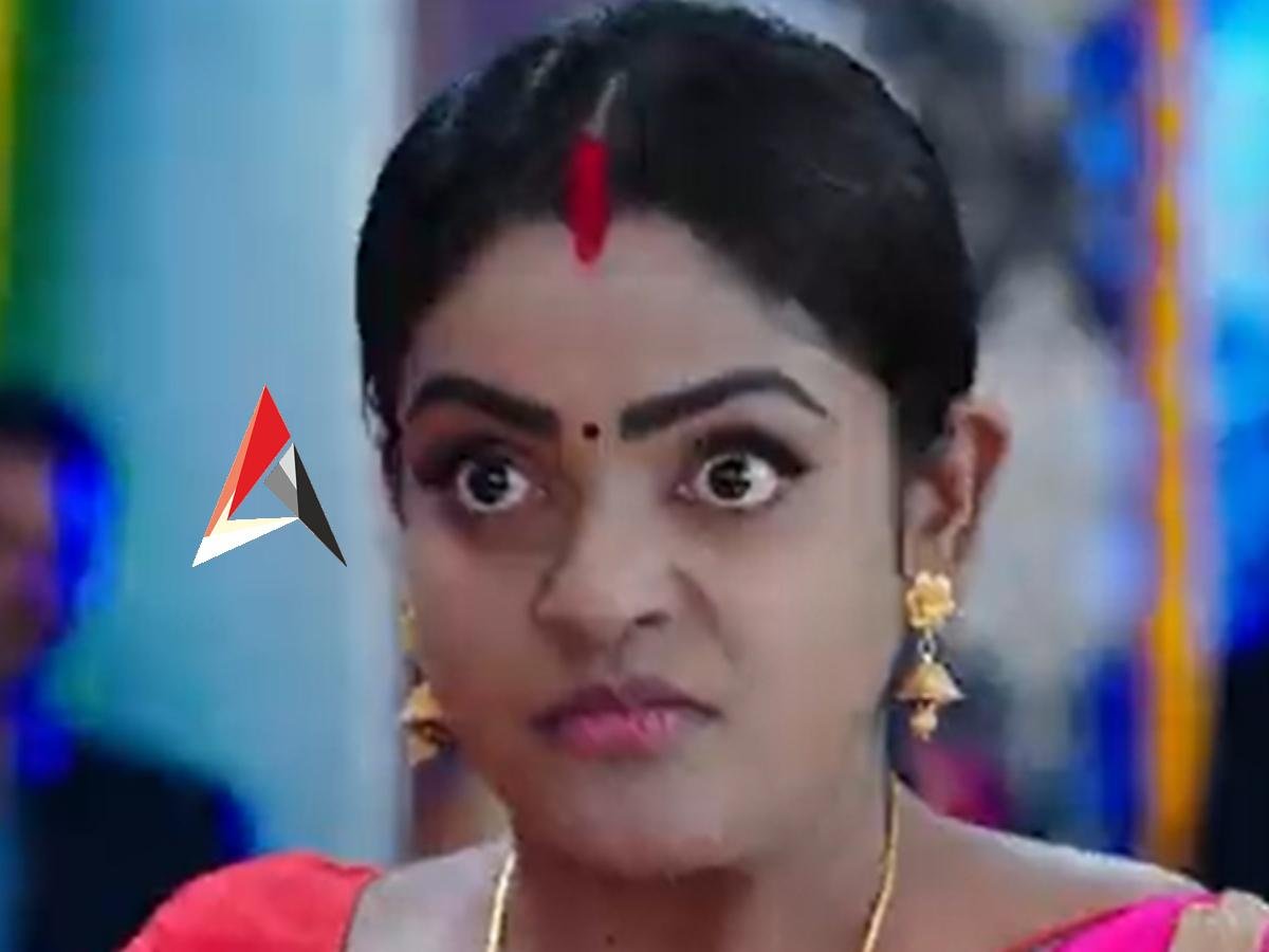 Karthika Deepam Episode 1204 : కార్తీక్ దీపం నేటి ఎపిసోడ్.. ఎక్కడ దెబ్బ కొట్టాలో బాగా తెలిసిన దీప.. దటీజ్ వంటలక్క