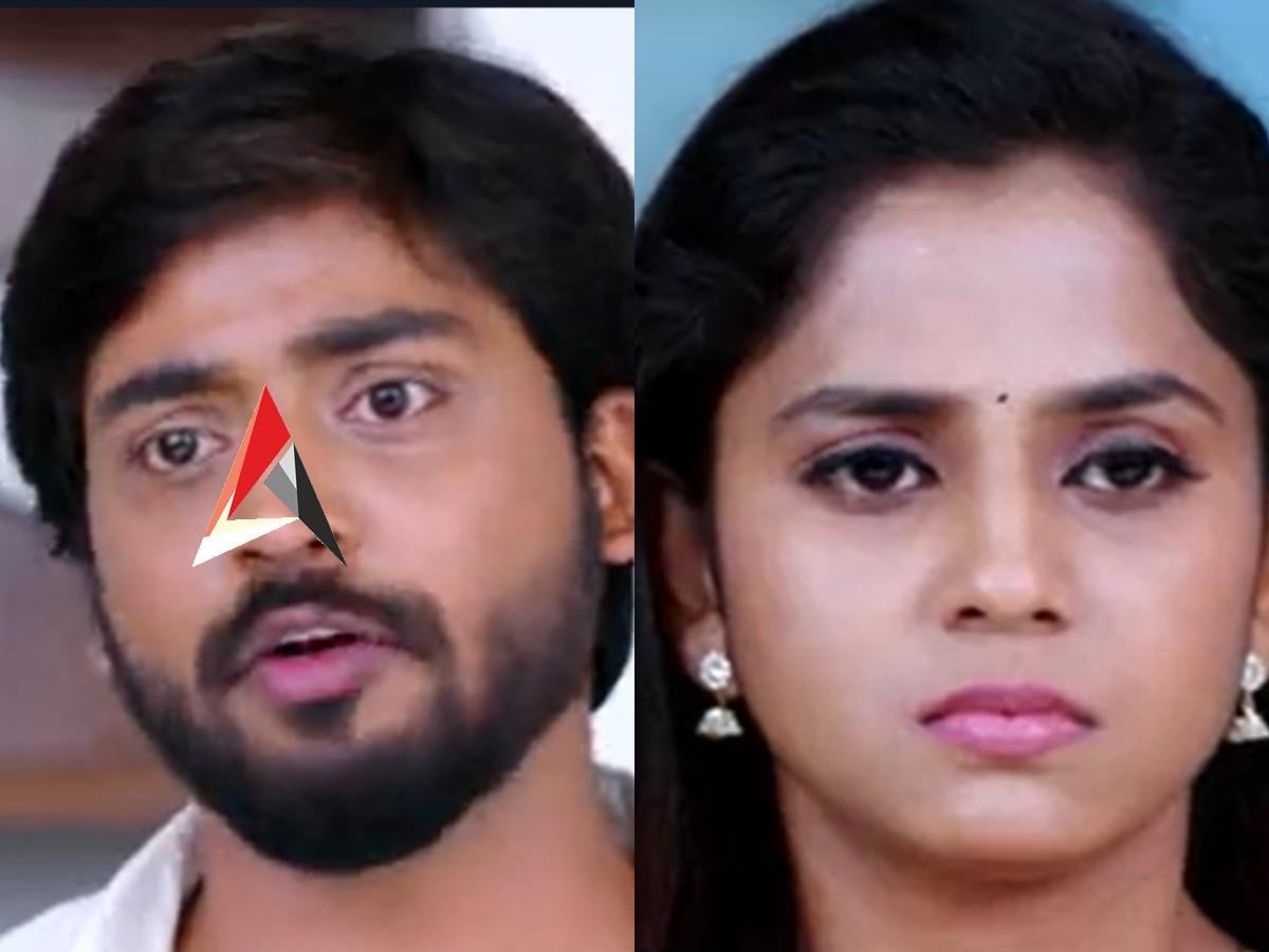 Guppedantha Manasu Episdoe 290 : వసుపై ఆగ్రహించిన రిషి.. కారణం ప్రేమా? కోపమా?