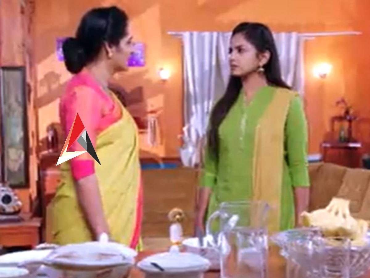 Guppedantha Manasu Episode 301 : ఇంట్లో ఏకాంతంగా రిషి, వసు.. నువ్వే ఓ గెస్ట్వి అంటూ పరువుతీసిన జగతి