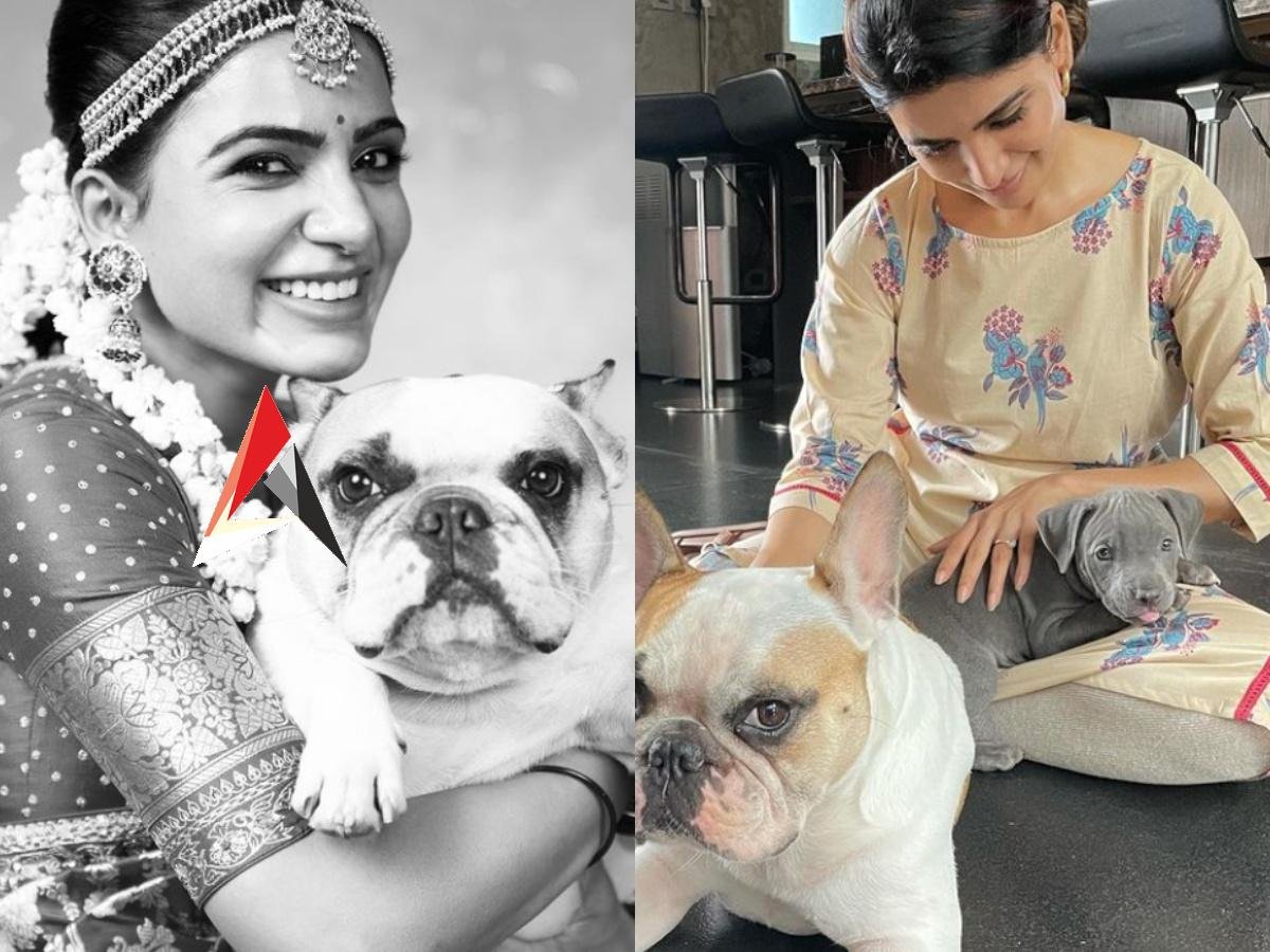 ‘హష్’ బర్త్ డే.. సమంత సెలెబ్రేషన్స్!.. నాగ చైతన్యను పట్టించుకోని సామ్