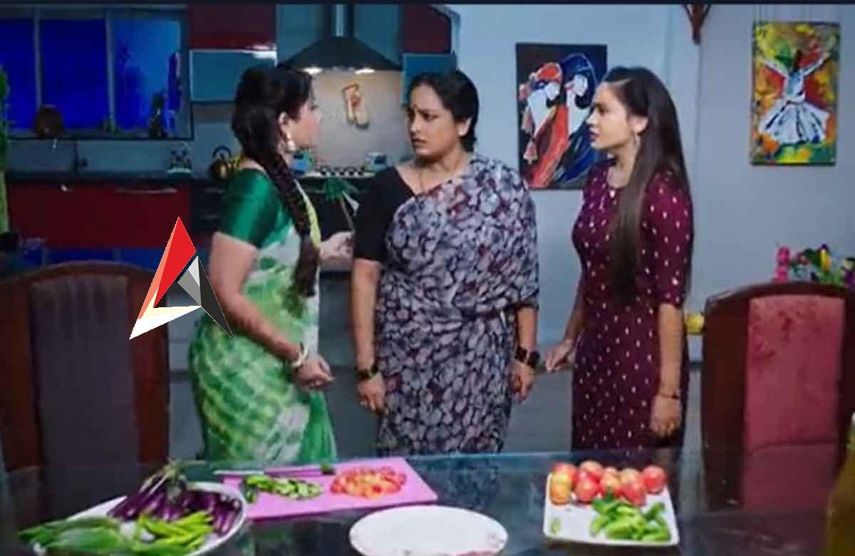 Intinti Gruhalakshmi 466 : పనిమనిషి చేతిలో ఘోర అవమానం.. అంకిత మొహం మాడింది!