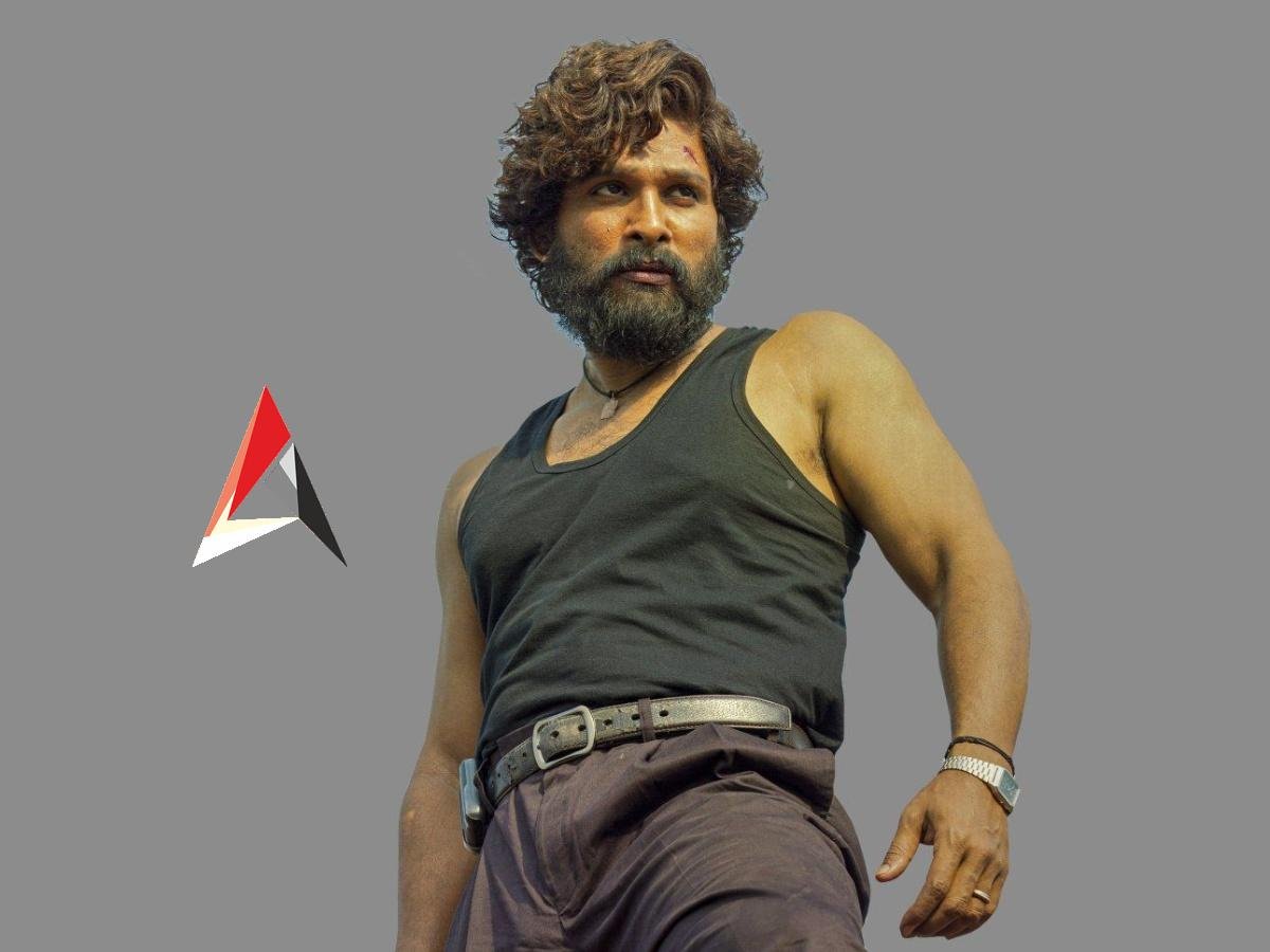 Pushpa Collection : ‘పుష్ప’ ఫస్ట్ డే కలెక్షన్స్.. ఇదేం రికార్డులు సామీ!