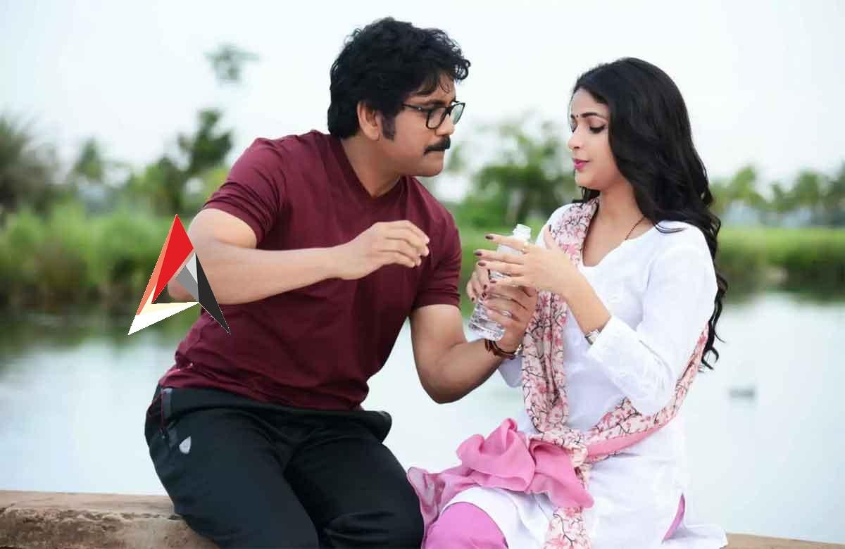 Bangarraju: అందుకే లావణ్య త్రిపాఠిని తీసుకోలేదు.. బంగార్రాజుపై డైరెక్టర్ కామెంట్స్