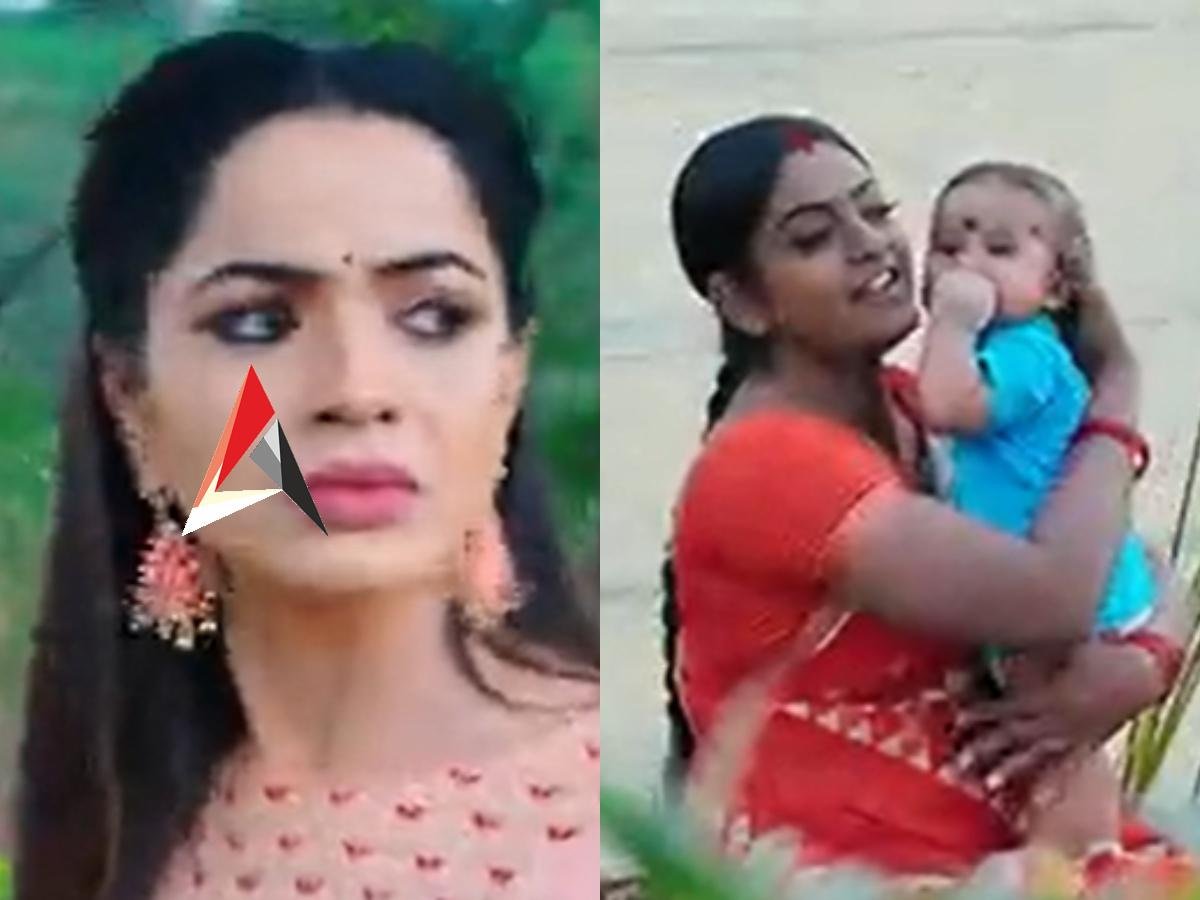 Karthika Deepam నేటి ఎపిసోడ్.. అంతా ఒకే గూటికి.. మోనిత కంటపడనున్న దీప