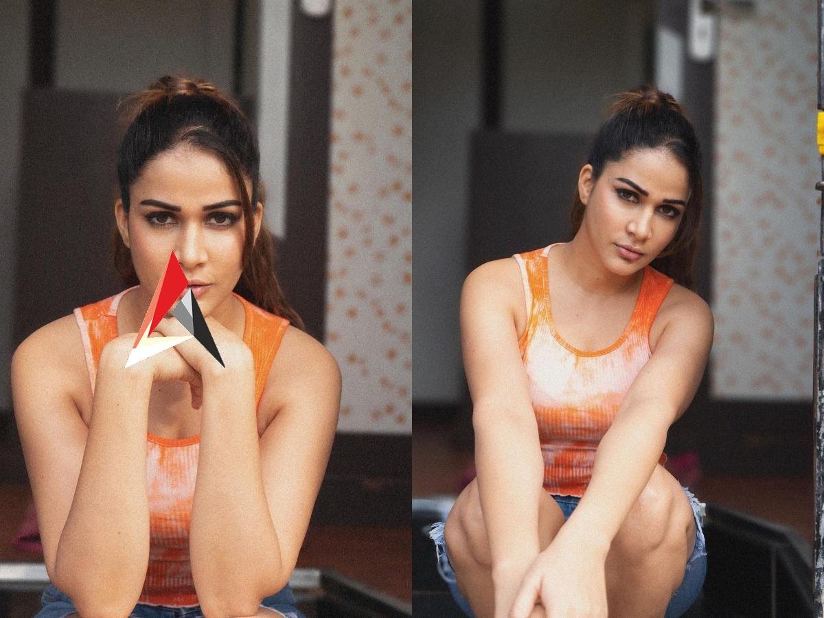 బికినీ పిక్ అడిగిన నెటిజన్.. దిమ్మతిరిగే రిప్లై ఇచ్చిన లావణ్య త్రిపాఠి