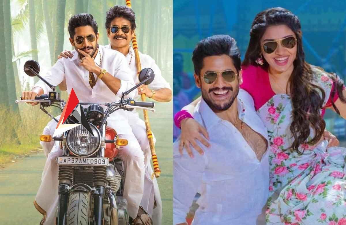 Bangarraju Collection : దుమ్ములేపిన బంగార్రాజు.. ఫస్ట్ డే ఎంతంటే?