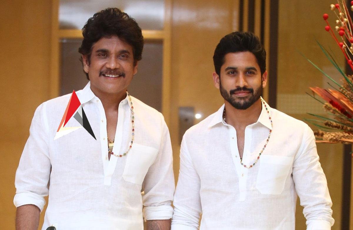 Bangarraju Collection : బంగార్రాజు బాక్సాఫీస్ రాజు.. రెండో రోజు ఎంతంటే?