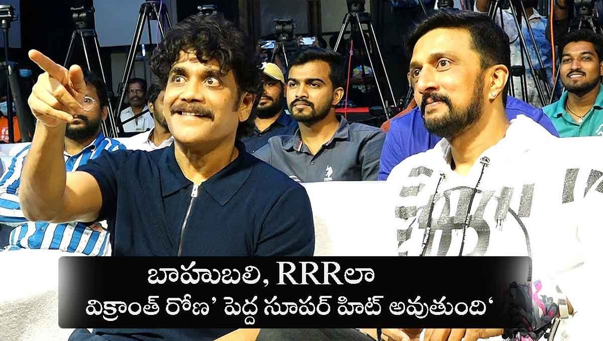 Nagarjuna: సినిమా నచ్చిందంటే తీసుకెళ్లి అక్కడ పెడతారు.. కింగ్ నాగ్